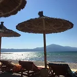 Appartement Beachfront
