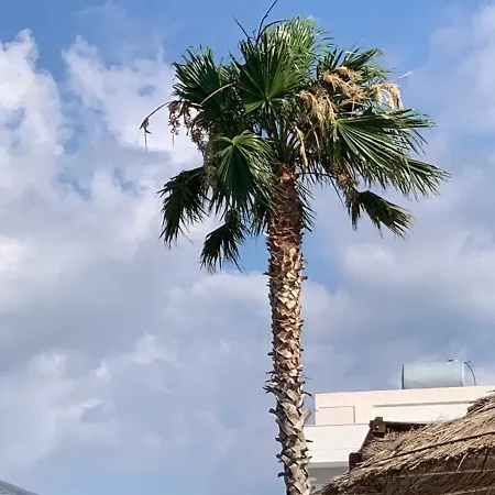 Beachfront شقة